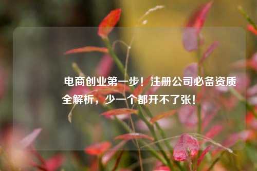 🔥电商创业第一步！注册公司必备资质全解析，少一个都开不了张！