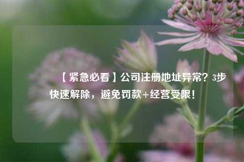 🔥【紧急必看】公司注册地址异常？3步快速解除，避免罚款+经营受限！