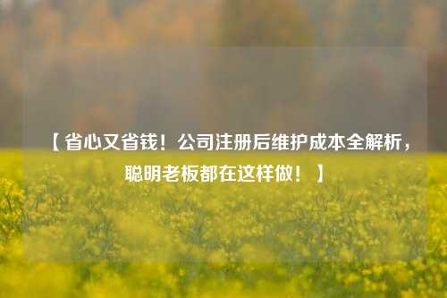 【省心又省钱！公司注册后维护成本全解析，聪明老板都在这样做！】