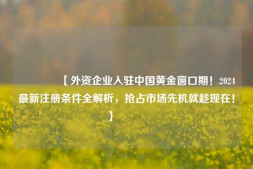 🔥【外资企业入驻中国黄金窗口期！2024最新注册条件全解析，抢占市场先机就趁现在！】🔥