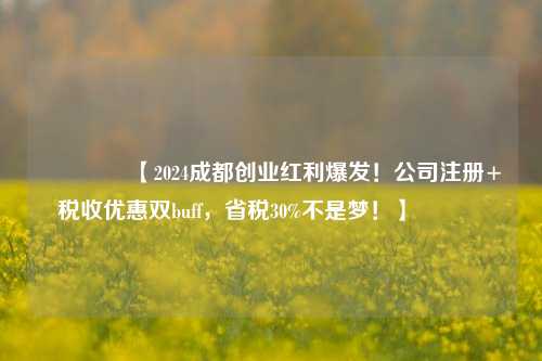 🔥【2024成都创业红利爆发！公司注册+税收优惠双buff，省税30%不是梦！】🔥