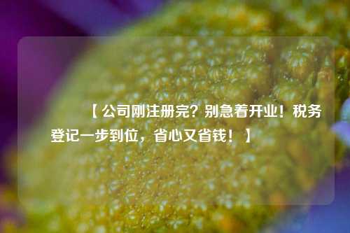 🔥【公司刚注册完？别急着开业！税务登记一步到位，省心又省钱！】🔥