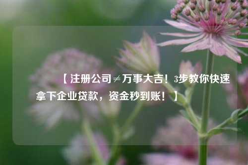 🔥【注册公司≠万事大吉！3步教你快速拿下企业贷款，资金秒到账！】🔥