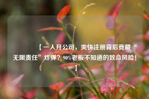 🔥【一人开公司，爽快注册背后竟藏“无限责任”炸弹？90%老板不知道的致命风险！】