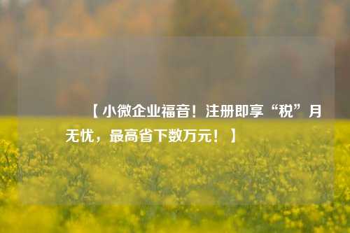 🔥【小微企业福音！注册即享“税”月无忧，最高省下数万元！】🔥
