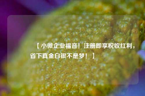 🔥【小微企业福音！注册即享税收红利，省下真金白银不是梦！】🔥