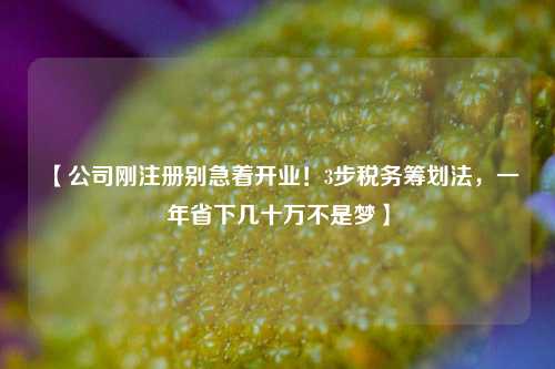 【公司刚注册别急着开业！3步税务筹划法，一年省下几十万不是梦】
