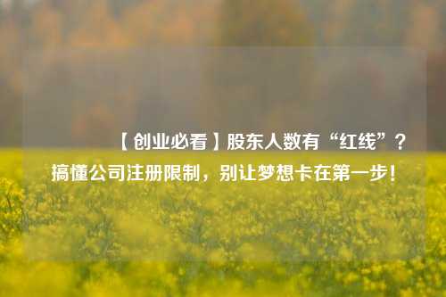 🔥【创业必看】股东人数有“红线”？搞懂公司注册限制，别让梦想卡在第一步！