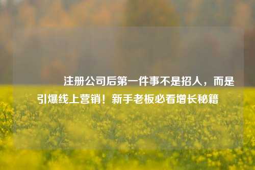 🔥注册公司后第一件事不是招人，而是引爆线上营销！新手老板必看增长秘籍