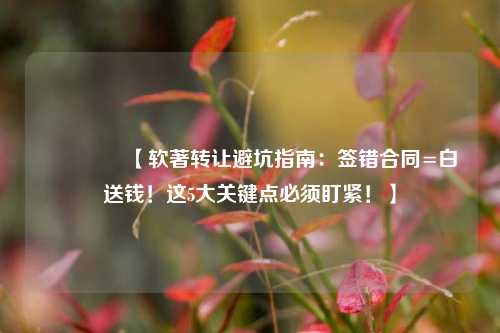 🔥【软著转让避坑指南:签错合同=白送钱!这5大关键点必须盯紧!】