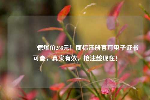 🔥惊爆价268元！商标注册官方电子证书可查，真实有效，抢注趁现在！