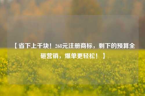 【省下上千块！268元注册商标，剩下的预算全砸营销，爆单更轻松！】