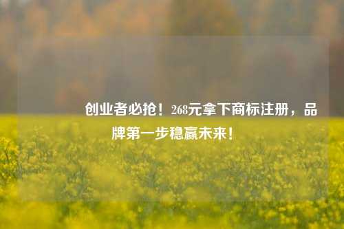 🔥创业者必抢！268元拿下商标注册，品牌第一步稳赢未来！