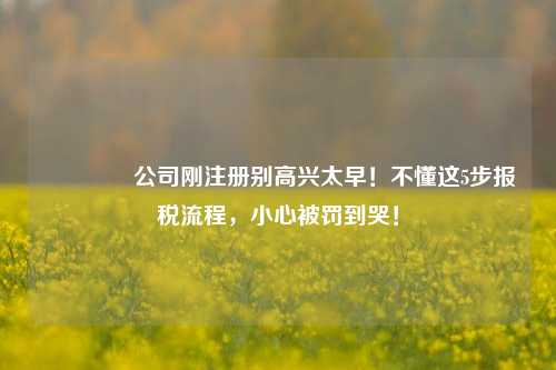 🔥公司刚注册别高兴太早!不懂这5步报税流程,小心被罚到哭!