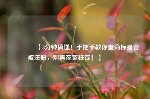 🔥【3分钟搞懂！手把手教你查商标是否被注册，别再花冤枉钱！】🔥