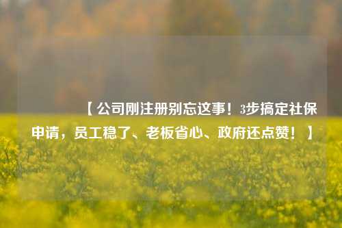 🔥【公司刚注册别忘这事！3步搞定社保申请，员工稳了、老板省心、政府还点赞！】🔥