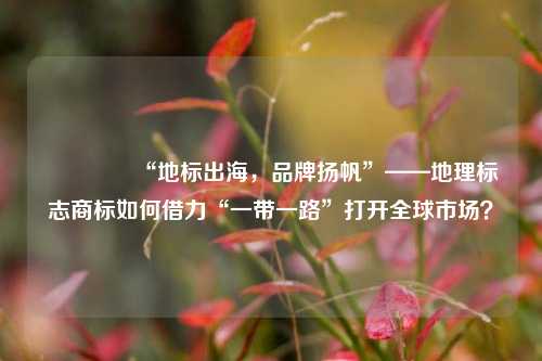🌍“地标出海,品牌扬帆”——地理标志商标如何借力“一带一路”打开全球市场?
