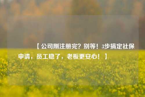 🔥【公司刚注册完？别等！3步搞定社保申请，员工稳了，老板更安心！】🔥
